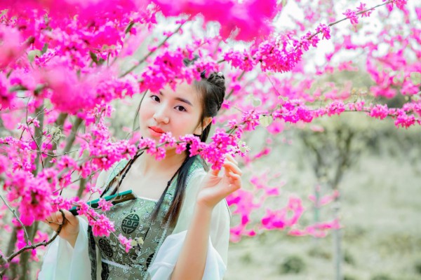 武汉茶韵悠长,美景如画等你来 武汉茶韵悠长,美景如画等你来